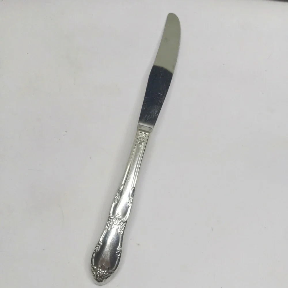 Oneida / WM A Rogers Fenway Stainless Steel Modern Solid Knife-Floral-Daydream